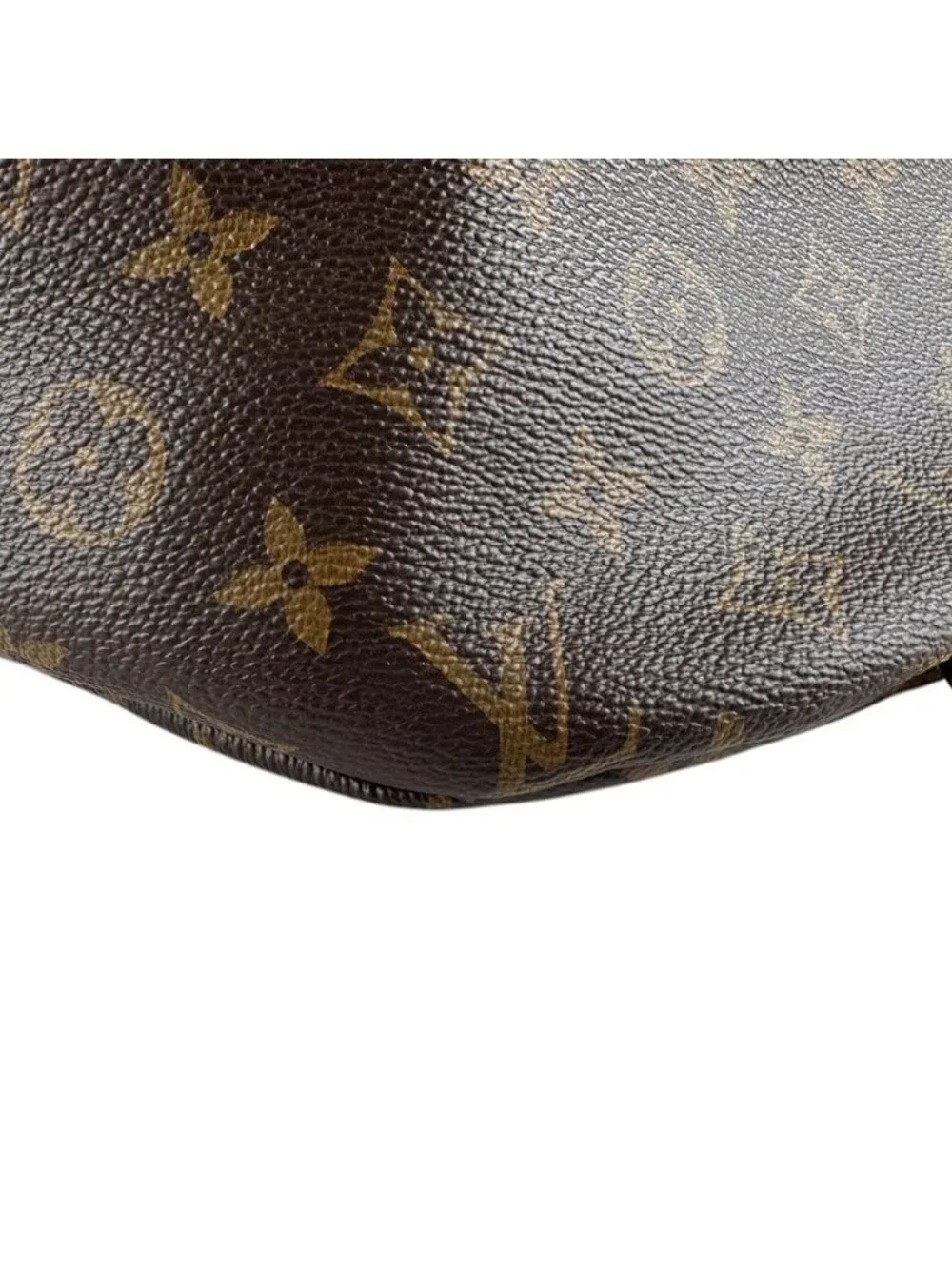 Louis Vuitton Belt Bag Monogram - Picture 8 of 10